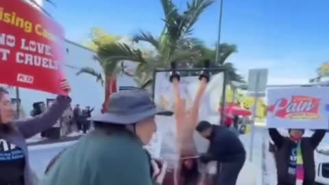 PETA crashed a Miami Raising Cane's grand opening this week