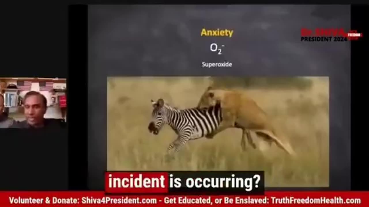 Dr. Shiva explains about Adrenochrome.