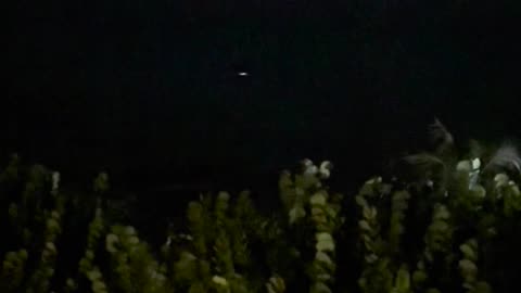 🌊🔮 Mysterious Light Spotted in Montego Bay, Jamaica! | TheTruthAbove