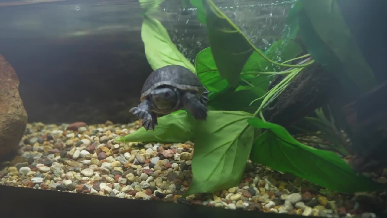 A few laps in the pool to start your day right