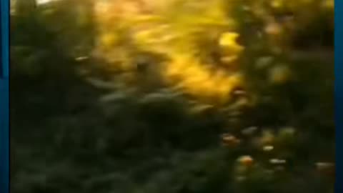 😱👻 Skinwalker Sighting? You Won't Believe This! | TheHauntingHour