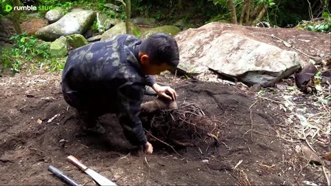Build a shelter on a fallen tree trunk.