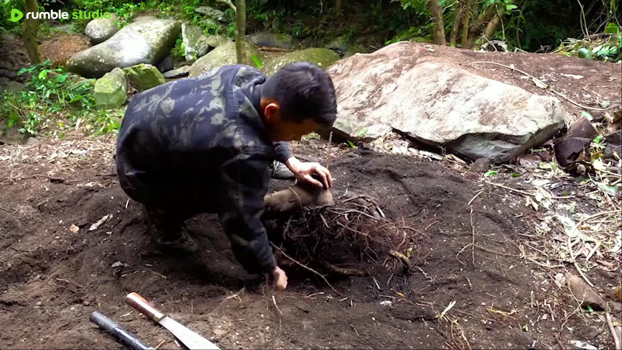 Build a shelter on a fallen tree trunk.