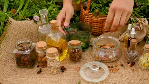 Bayberry - The Herb You've Never Heard About (Ep. 15)