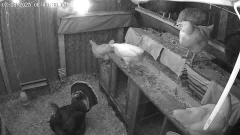 Friday Night in the Hut! Cam2