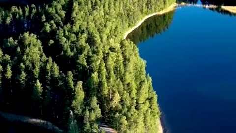 “The Falcon’s 10,000 km Journey: From South Africa to Finland in 42 Days!”