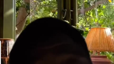 KING B 3RD SHIFT GOING IN ON LUVLY LIZ PT. 2