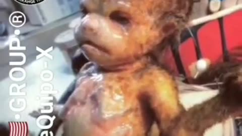 It is happening on a level beyond your wildest imagination. These "people" are sick.