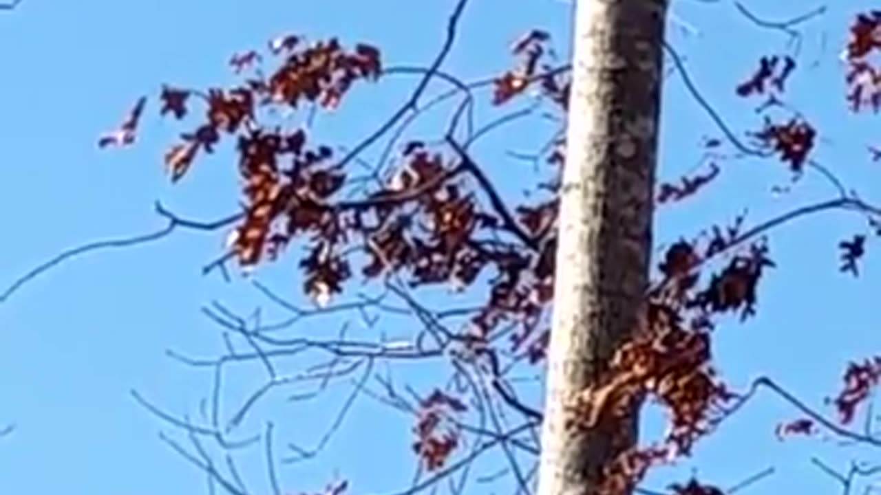 🔬👻 Debunk This Paranormal Event | TheHauntingHour