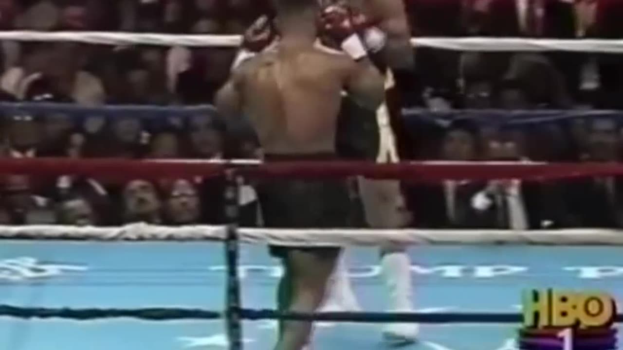 Mike Tyson vs Alex Stewart