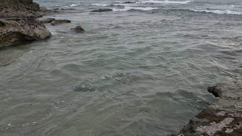 View over Reef - Upper Windansea #beach #socal #sandiego
