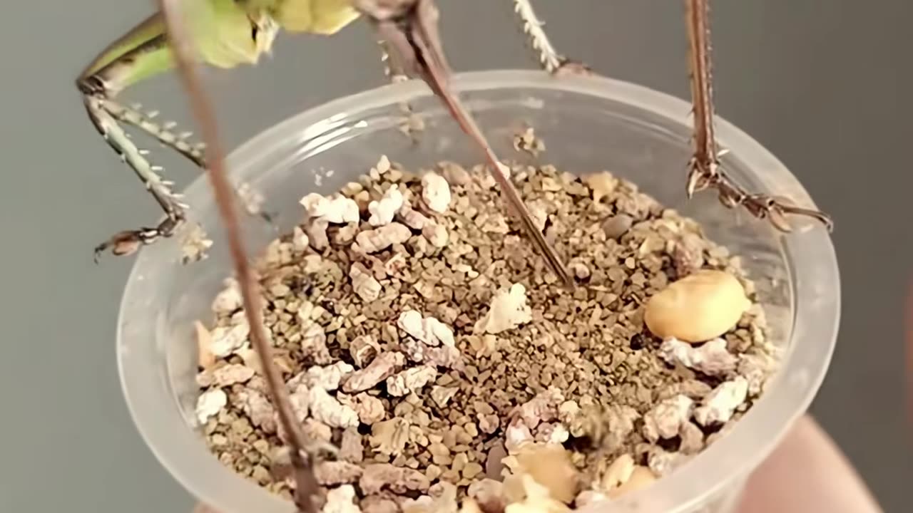 🤯📦 Organize Your Closet Like a Pro With This Genius Method! | LifeHacksDaily