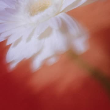 Celtic Gold Jewelry – A Legacy of Strength and Harmony