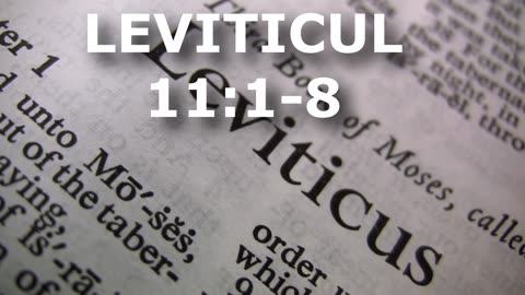 Leviticul 11:1-8 | Itinerar Biblic | Episodul 180