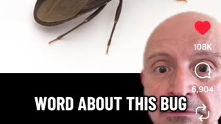 The Kissing Bug Migration