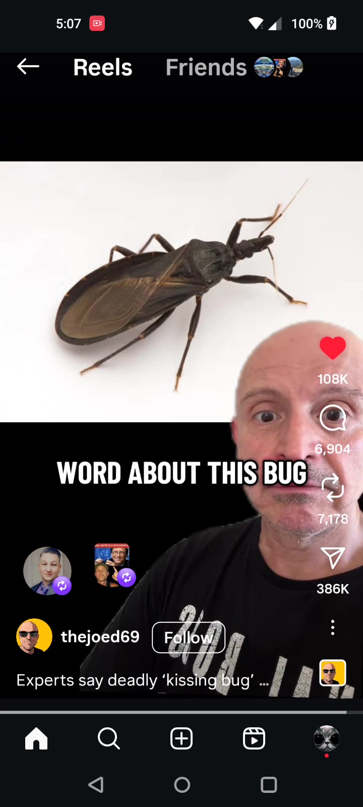 The Kissing Bug Migration