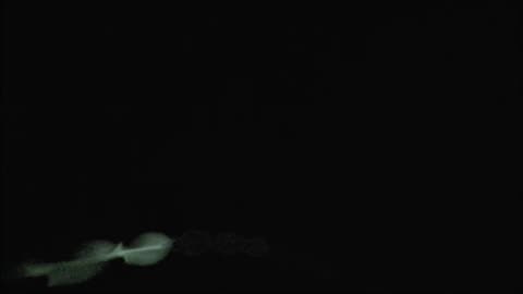 UFO IDENTIFIED Barbell ET Drones Over Adelaide 13 to 17 January 2026