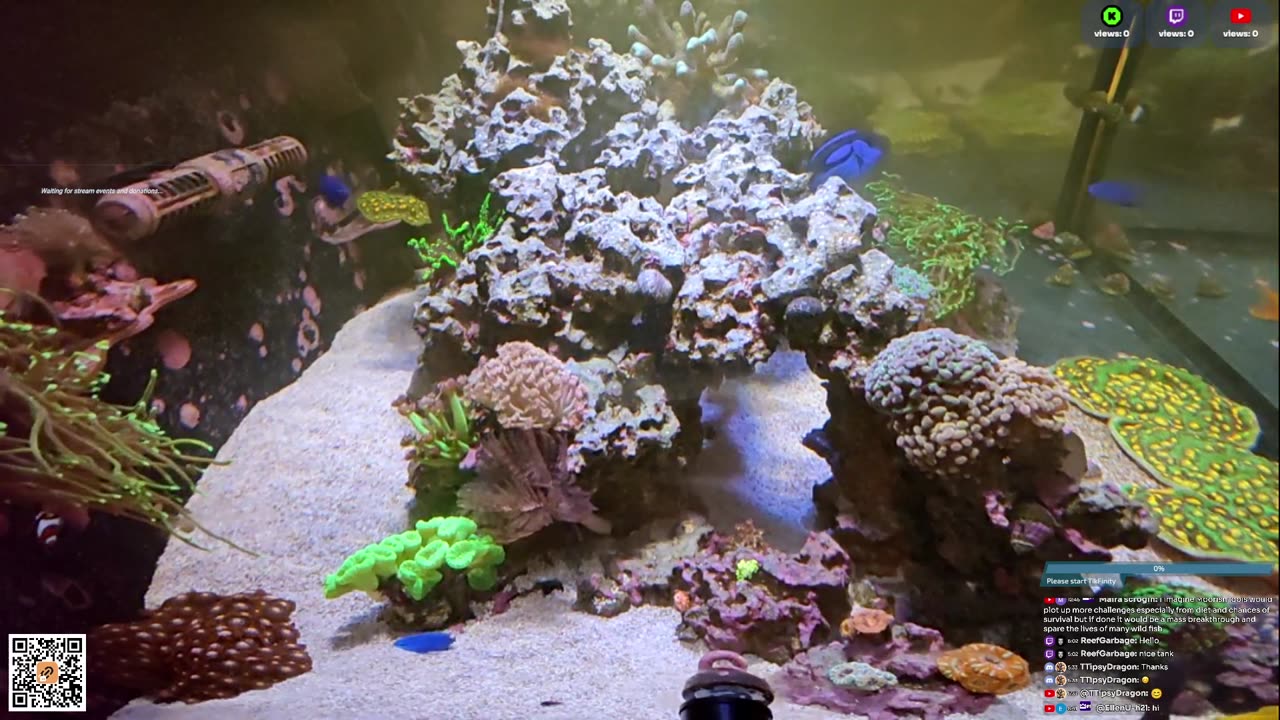 24/7 Real Live Reef Stream