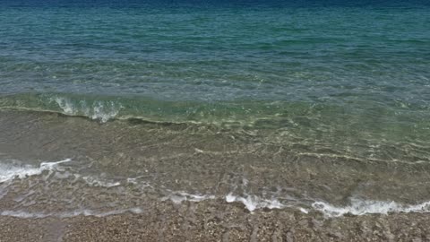 Grasas Dietéticas e Impacto en la Salud