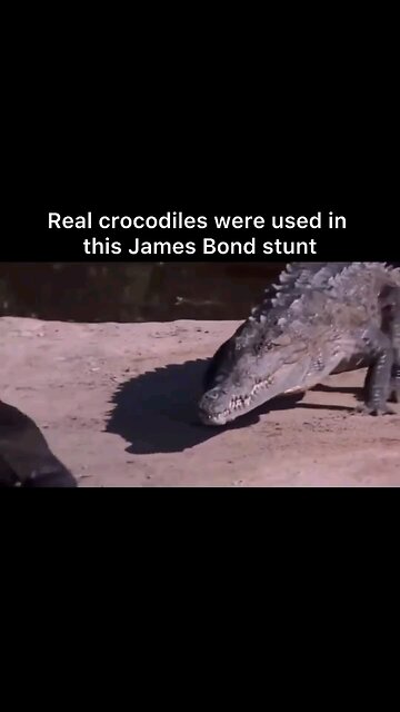 James Bond Stunt