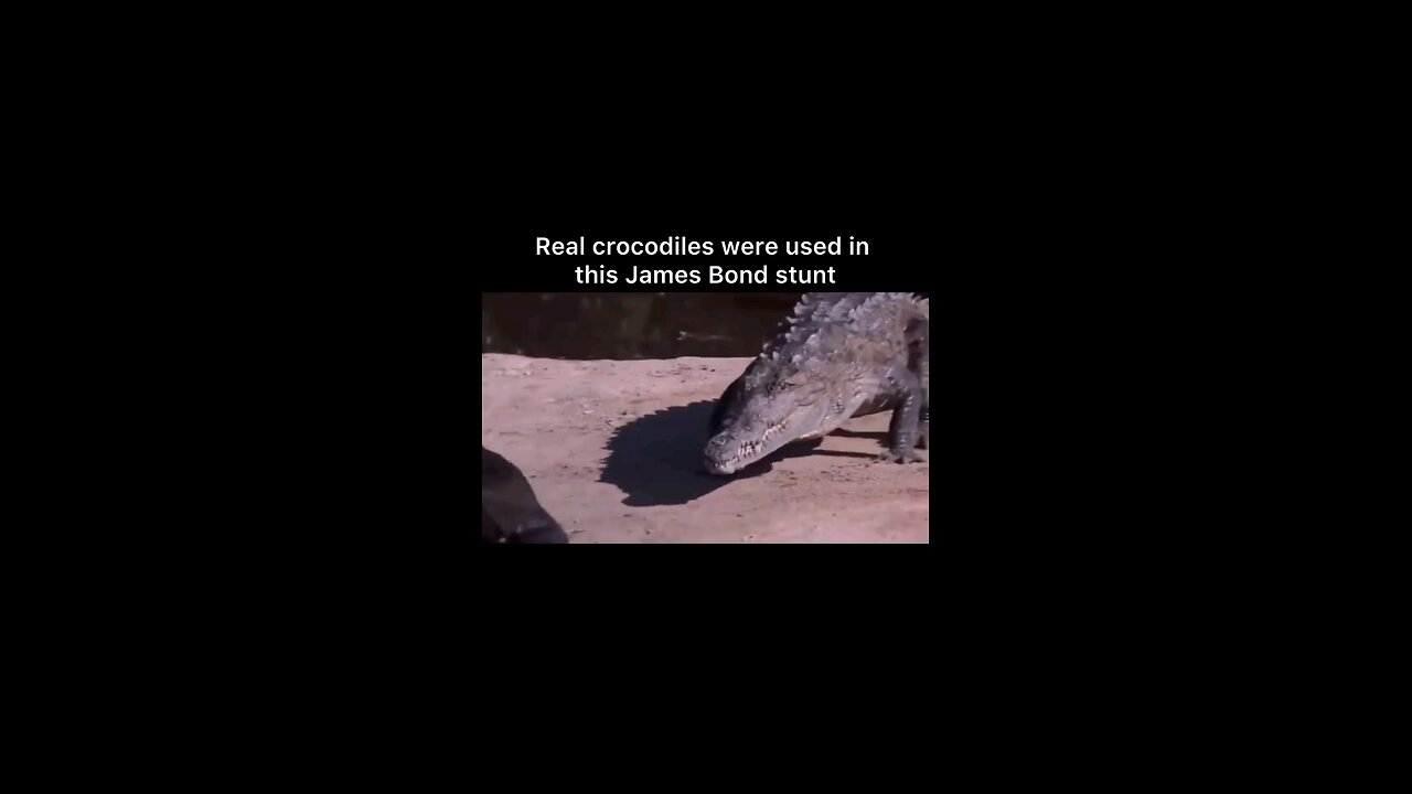 James Bond Stunt