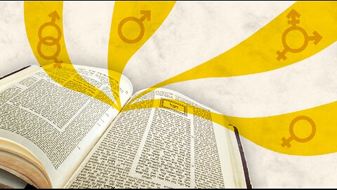 Serious Question: Why Are There 8 Genders In The Talmud?