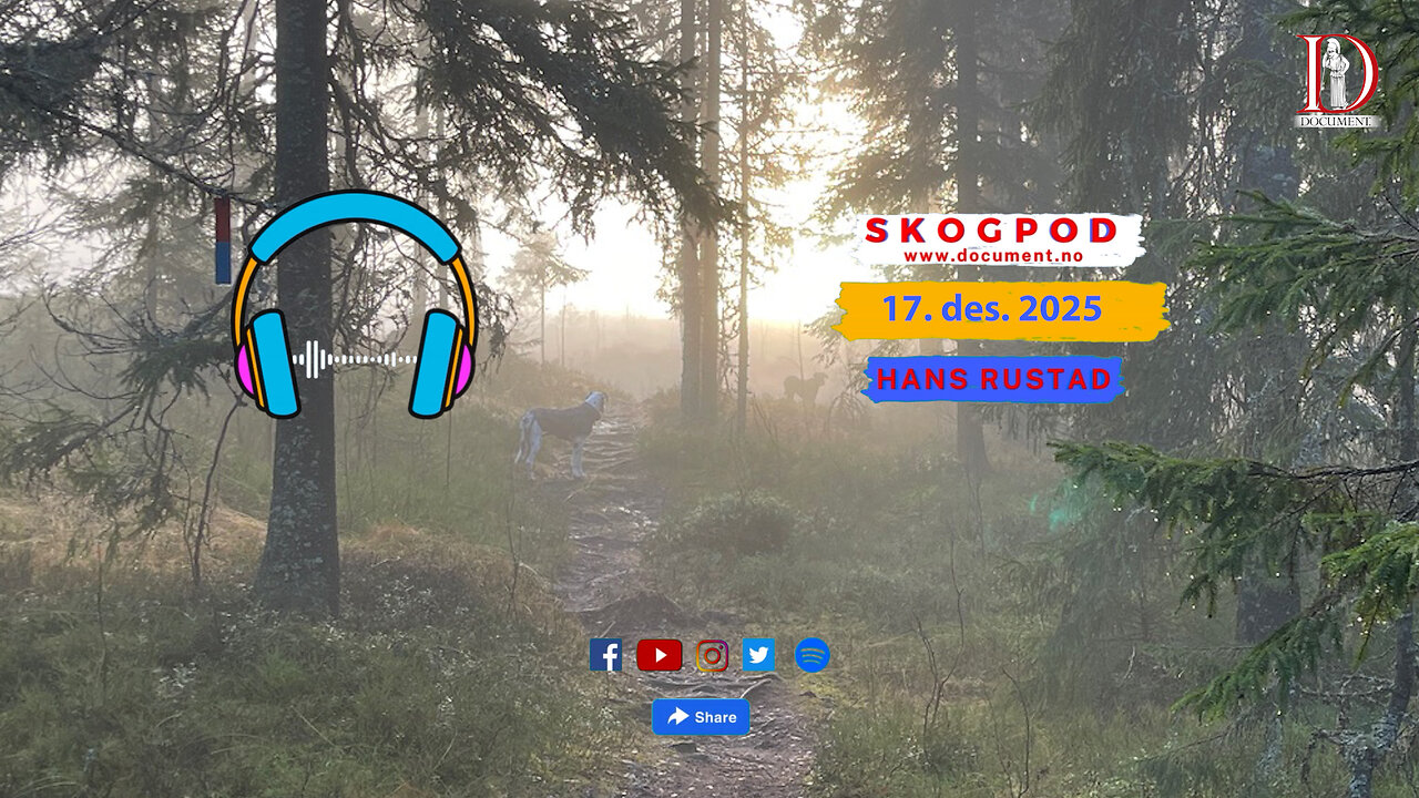 Skogpod 17. desember 2025