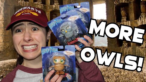 Mattel Made Harry Potter Owls?!