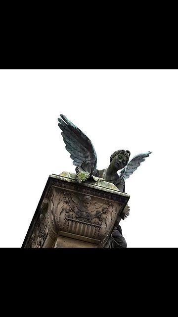 Volando desde la tumba