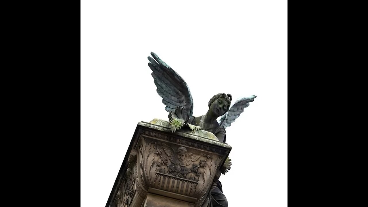 Volando desde la tumba