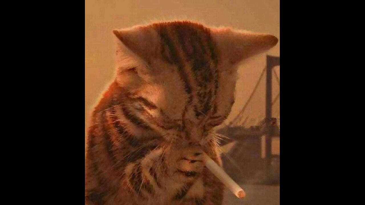 The Truth About the Fairbairn System of Combat The Mind Is the Final Weapon Reviewed