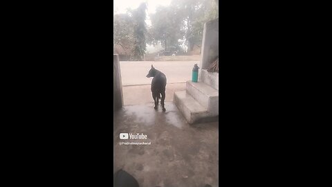 bandh Liya hai