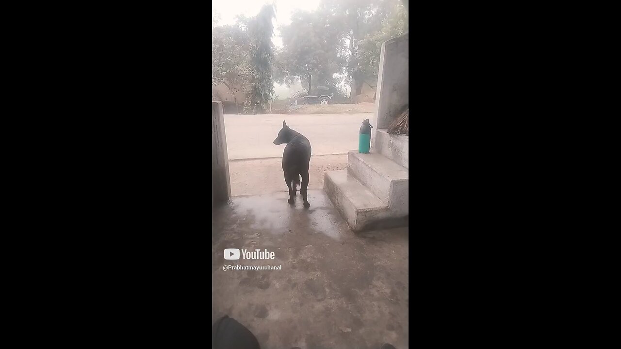 bandh Liya hai