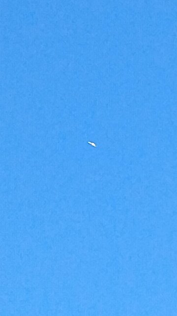 drac democrats doing psyops on humans