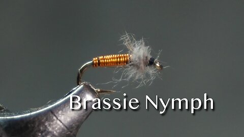 Brassie Nymph