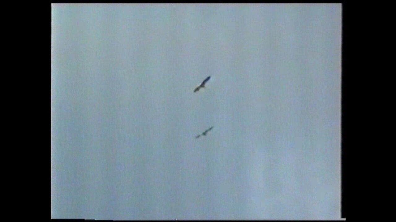 Last-Studio, Video-N.79 (2002)