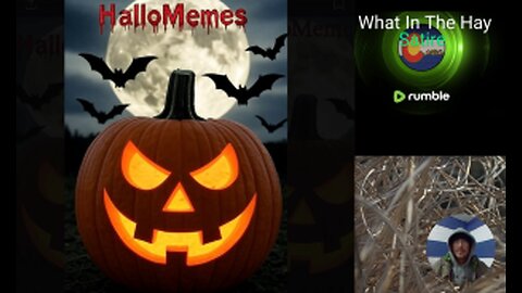 HalloMeme's