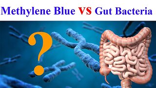 Discover How Methylene Blue Impacts Your Microbiome - Dr. Dane Newville