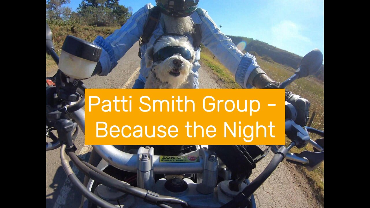 Patti Smith Group - Because the Night