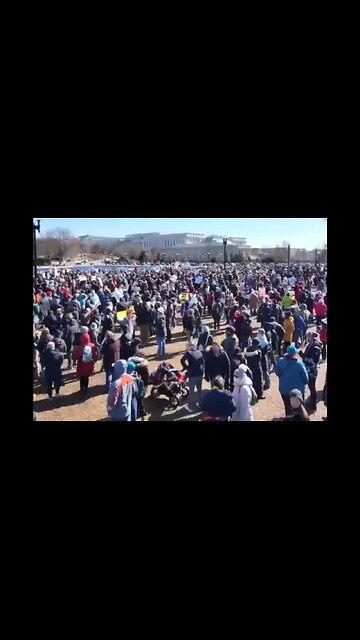 Left-Wing Vultures Land In D.C. To Protest DOGE Saving Us From Bankruptcy