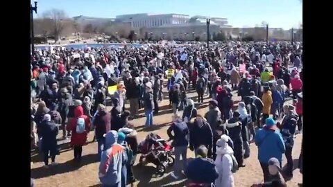 Left-Wing Vultures Land In D.C. To Protest DOGE Saving Us From Bankruptcy