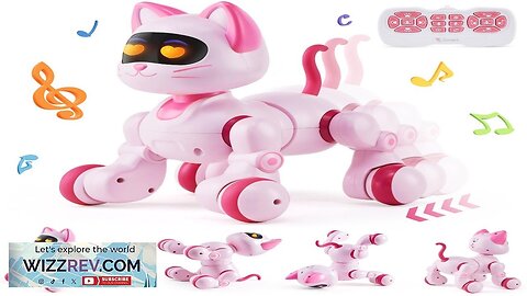 VEVOR RC Robot Cat Toy for Kid Talking Dancing Touch Remote Control Review