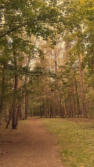 Latvia. Rīga.our beautiful park)