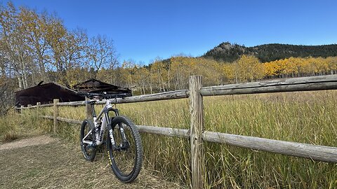 Mule Deer (counterclockwise) | Golden Gate Canyon State Park | Golden | Colorado