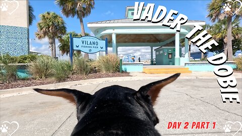 Doberman Pier Adventure Part 1: Vader Shines on Vilano Beach! 🐶🌊 (Day 2/2)
