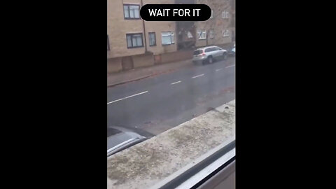 Drone Birds????? Creepy