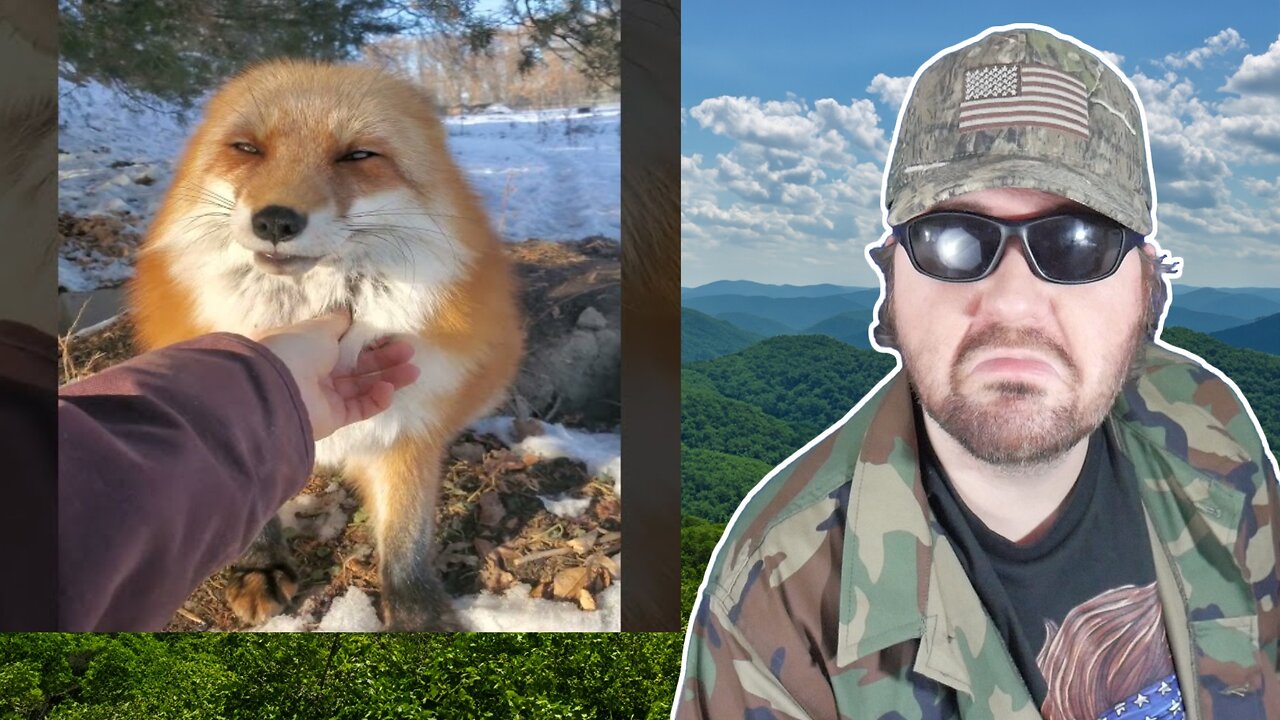 Always Good Talks With DixieDo Fox (SaveAFox) - Reaction! (BBT)