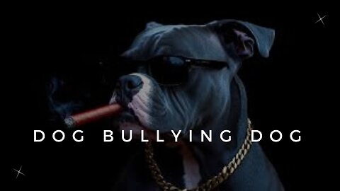 Funny Dog bullying 😂