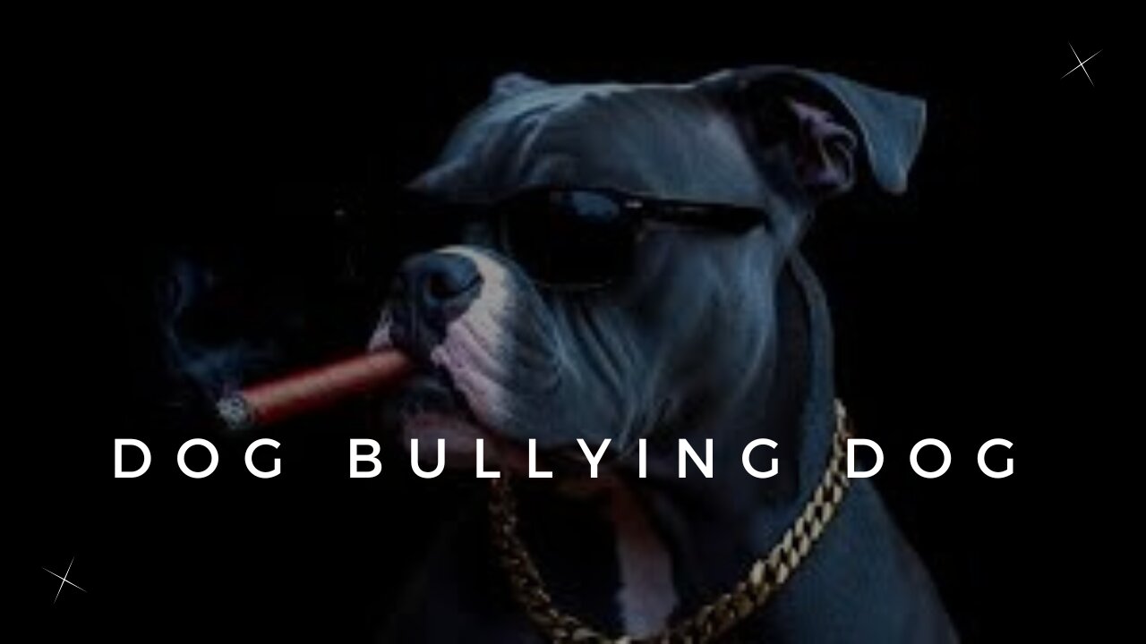 Funny Dog bullying 😂