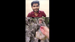 chutiya ho gaya kya